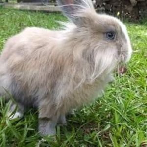 Meet your Posher, Kelli